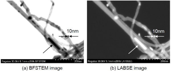 Stem Micro Scanning Transmission Electron Microscopy (STEM) | Nanotechnology ...